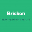 Briskon's E- Auction Software